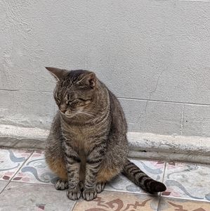 Meet your Posher, Julie